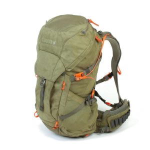Fauna Kinglet 35
